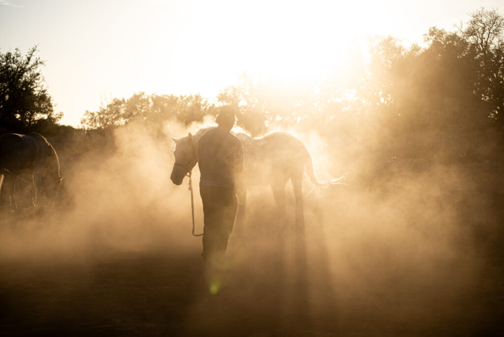 Cavaliere controluce nella polvere, foto di Francesca Avventi